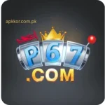 P67 Game