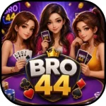 BRO44 Game